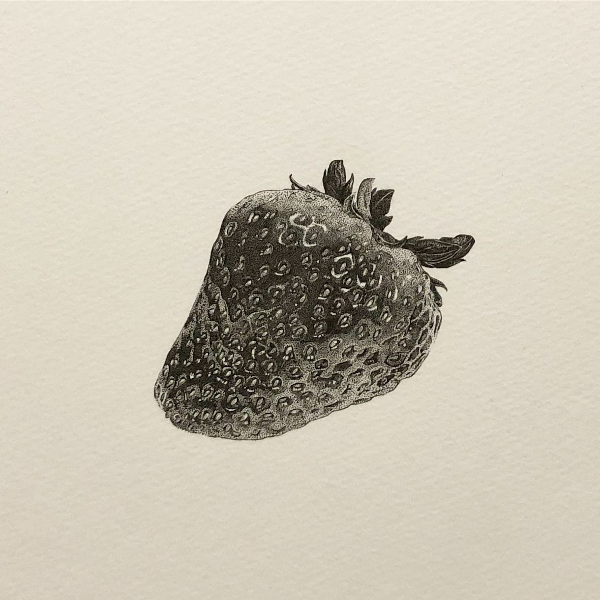 ペン画による繊細なモノクロのイラストを制作します 人、動物、植物、風景、物・・・あなたの大切を一枚の絵に。 イメージ7