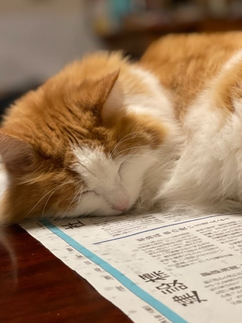 お悩みからあなたが幸せになるアドバイスをします あなたを幸せにするのはあなたです！その方法をお伝えします。 イメージ10