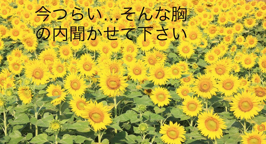 うつ、統合失調症など、看護師がお聞きします こころの病気を抱えてる方、吐き出してみませんか イメージ5