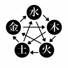 干支九星学で貴方の現状を俯瞰します 干支九星（十干十二支と九星）中免法or奥免法で占います！ イメージ1