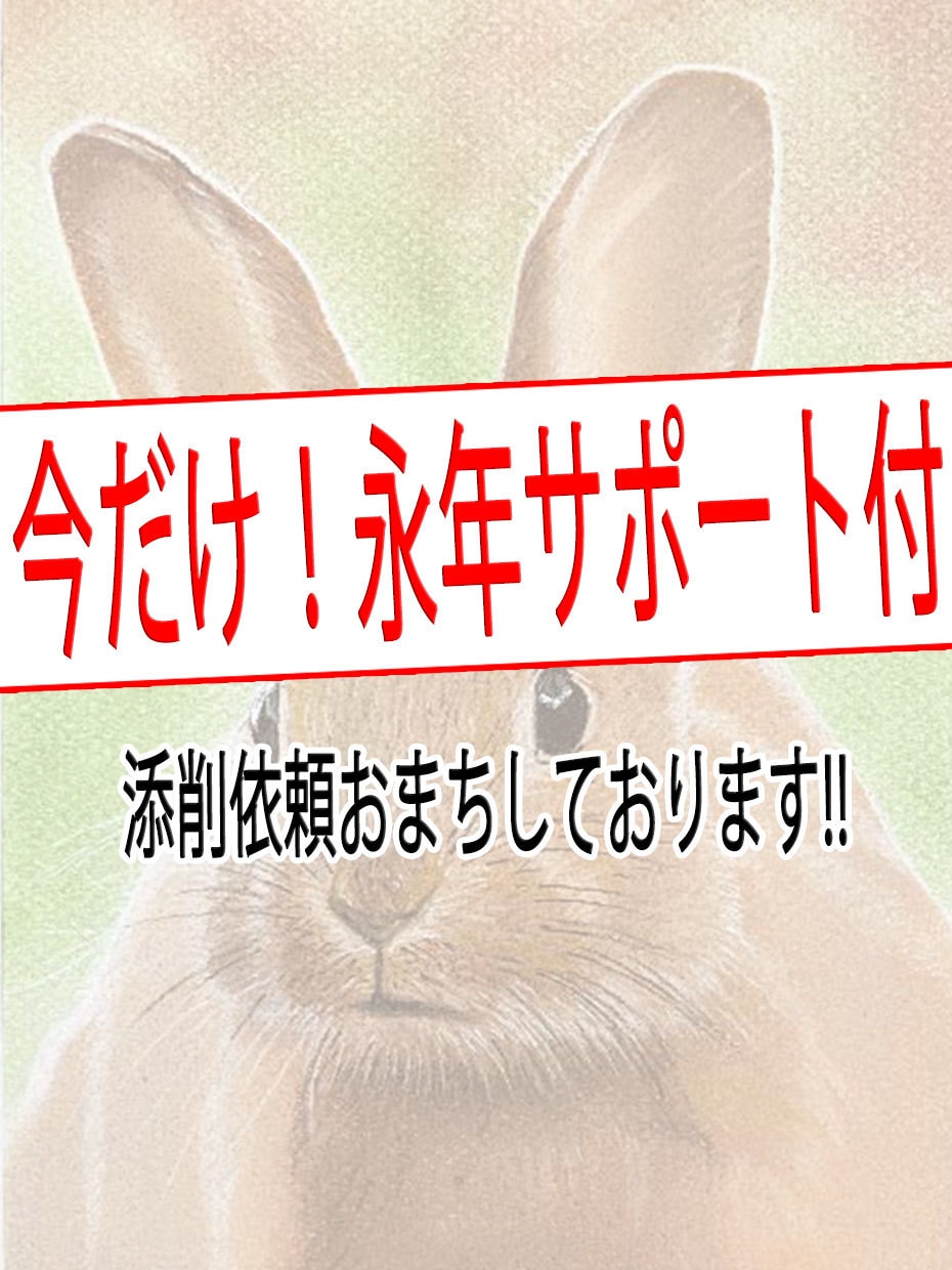 風景画のリアルな描き方を36動画＋特典で納品します パステルで木、海、波、夕暮などを描く方法を講師が徹底解説！！ イメージ10