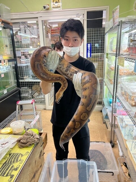 生き物を使った集客をいたします 2日間で約6万人来場のイベントプロデュースを18年‼️ イメージ1