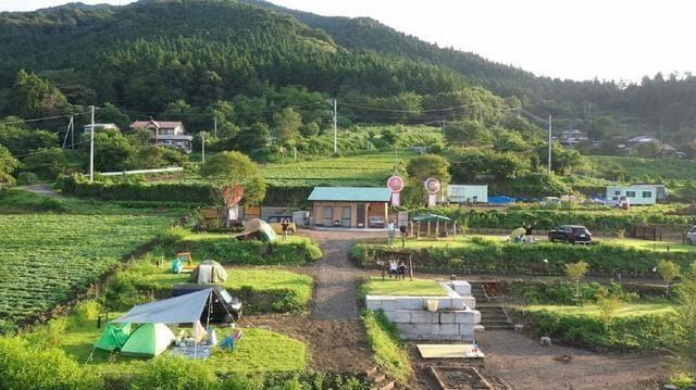 キャンプ場経営のアドバイス・相談に乗ります キャンプ場造りを0から始め運営3年。この経験をお伝えします。 イメージ3
