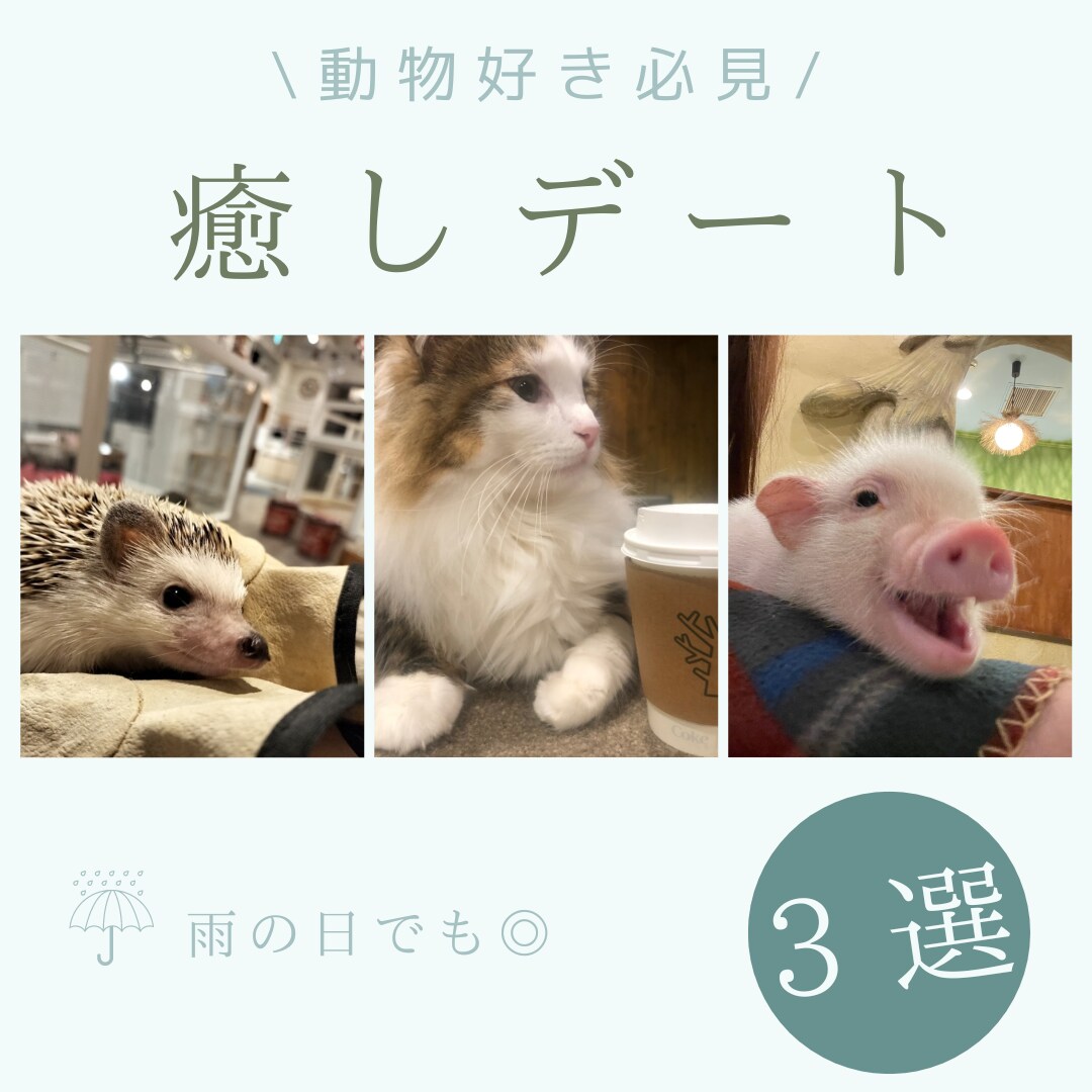 Instagramの投稿画像を作成いたします 【Canva使用】初回限定価格♡オシャレな画像作成 イメージ5