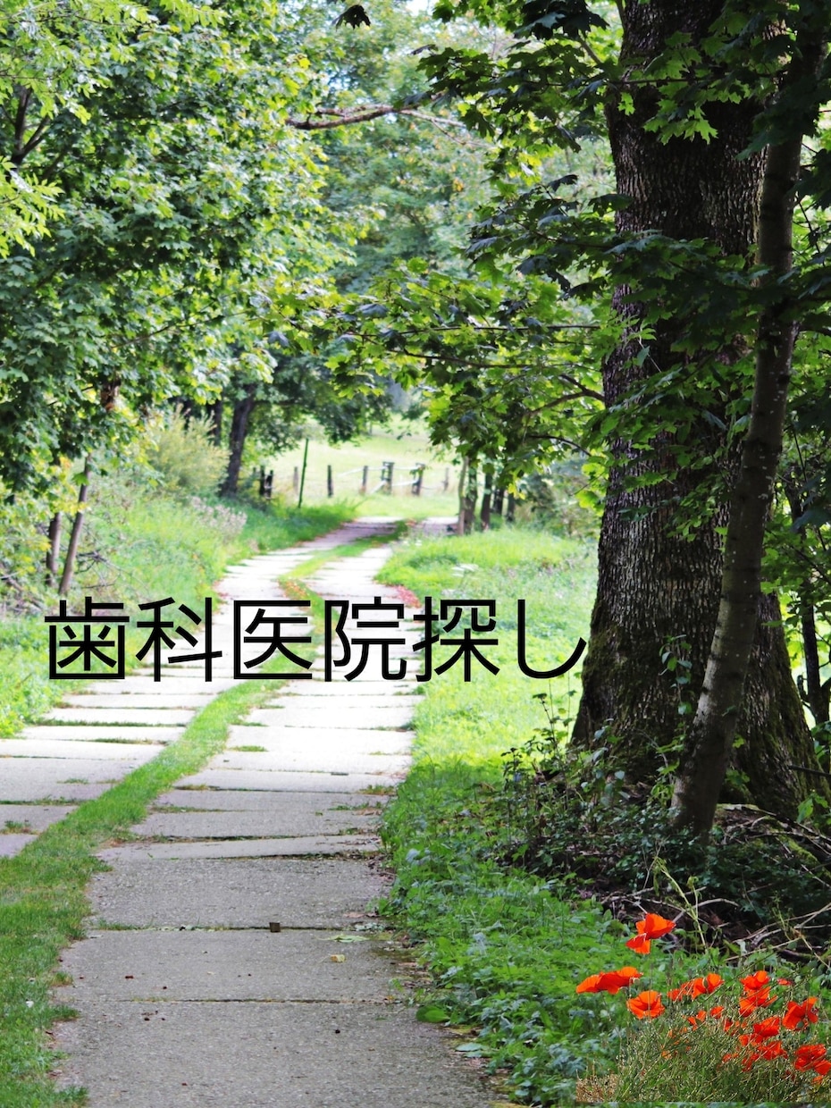 歯科医院を探します どこの歯医者に行ったら良いのか分からない。にお答します。 イメージ1