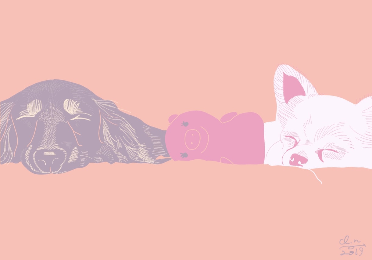 Basic/色合いが綺麗な似顔絵を描きます 5色程を使い、思わず飾りたくなるようなイラストを描きます イメージ4