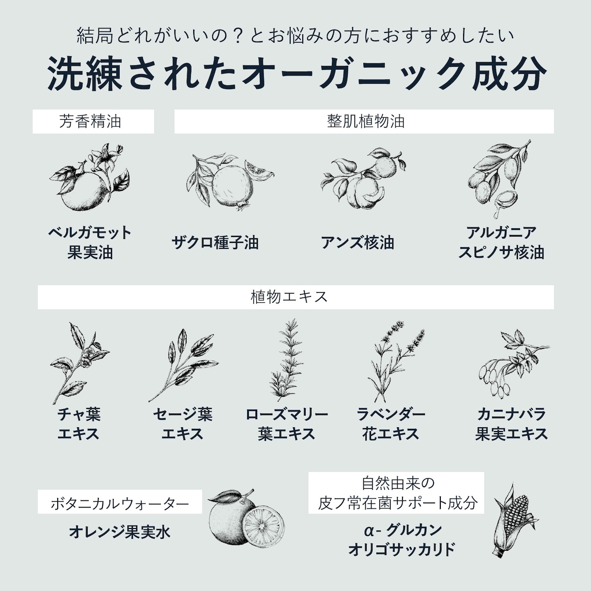 Amazon/楽天商品画像デザイン制作します 女性ウケが良い！シンプルデザインで商品をステキに見せます！ イメージ8