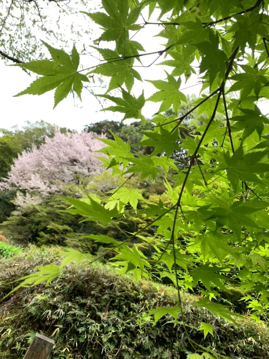旅行行程考えます 御朱印巡り、美味しいご飯の旅行をしたい方はぜひ！ イメージ1