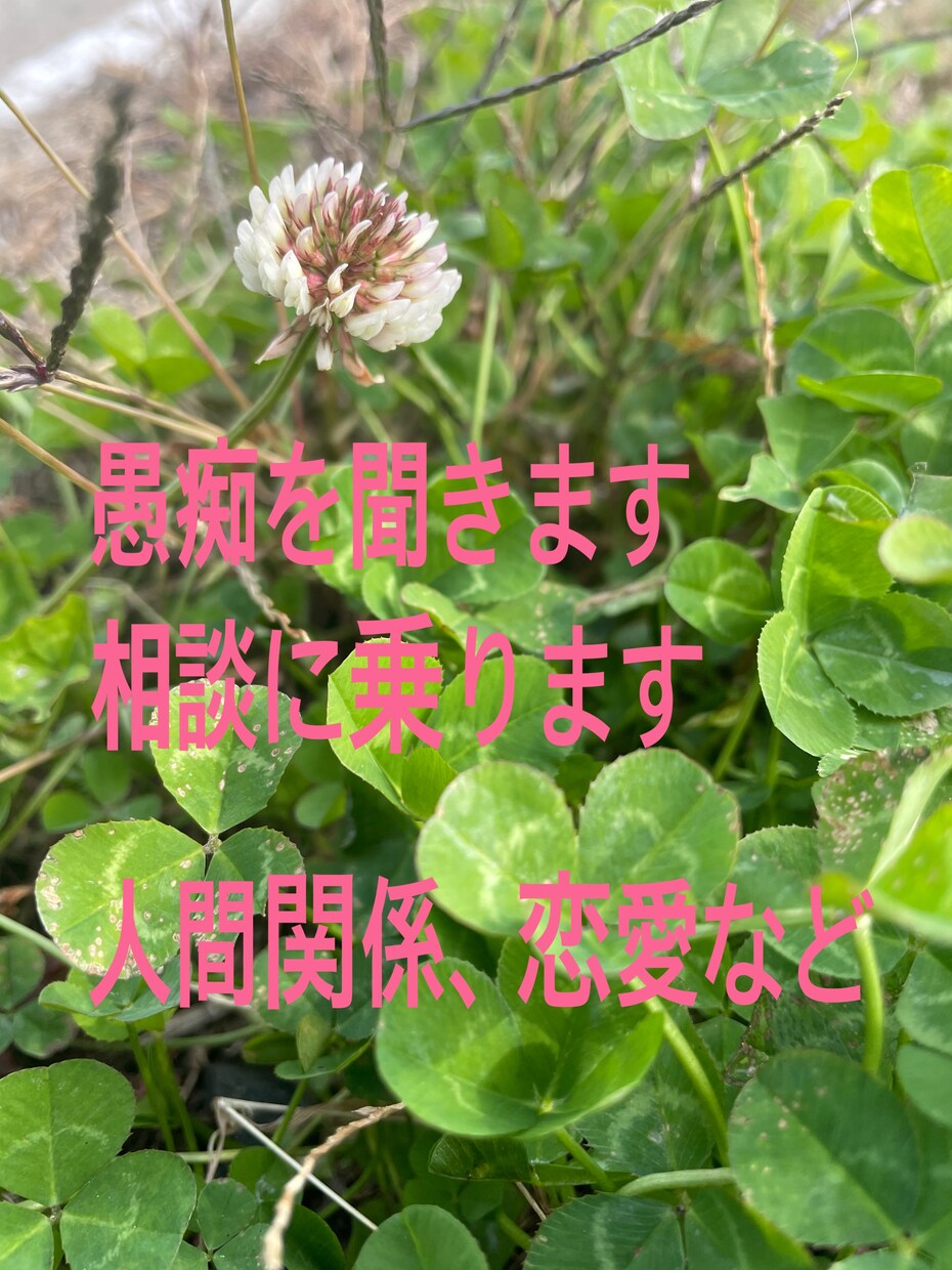 あなたのお話しを聞きます どんな時もあなたの味方です。お話ししてください。 イメージ2