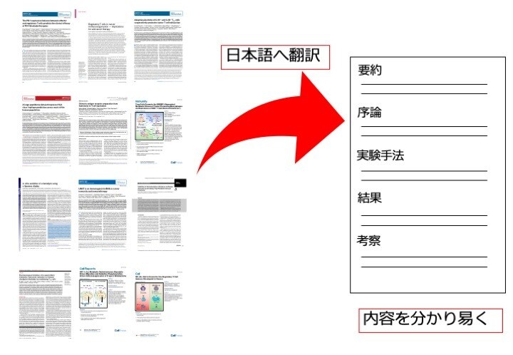 医学・生物学分野の英語論文の翻訳を承ります 現役大学教員による理解しやすい日本語翻訳を作成します イメージ1