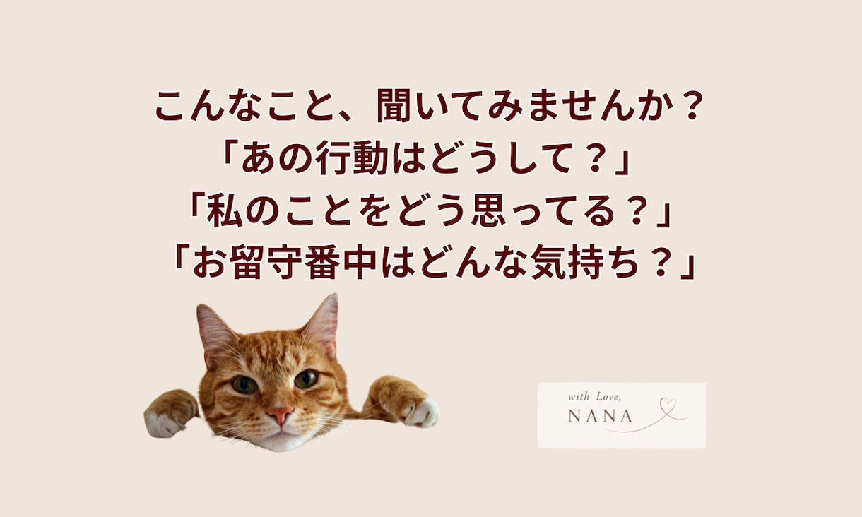 アニマルコミュニケーションで質問1つを深掘りします これだけ聞きたい！を叶える一問一答アニマルコミュニケーション イメージ2