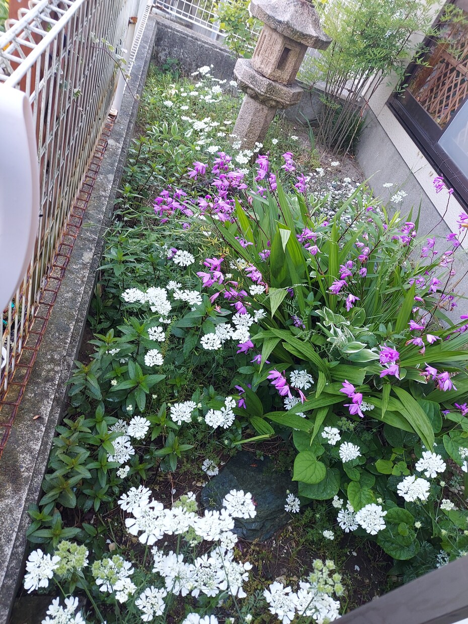 応援します *旦那は失踪、子供は鬱に。学校は不登校*職場でパワハラ イメージ2