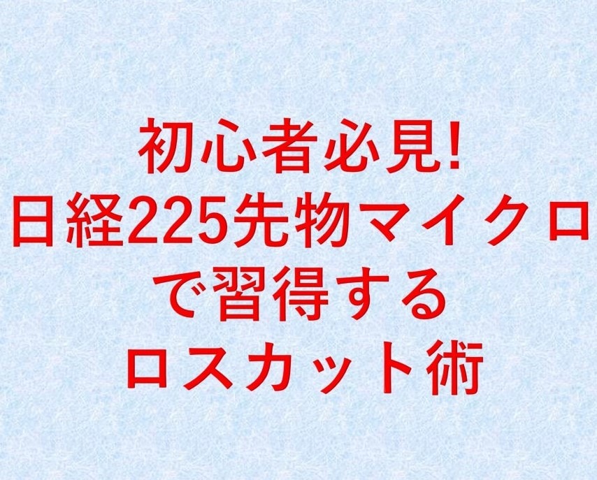 日経先物マイクロで習得するロスカット術になります 初心者必見!ロスカットを制する者はデイトレを制する イメージ1
