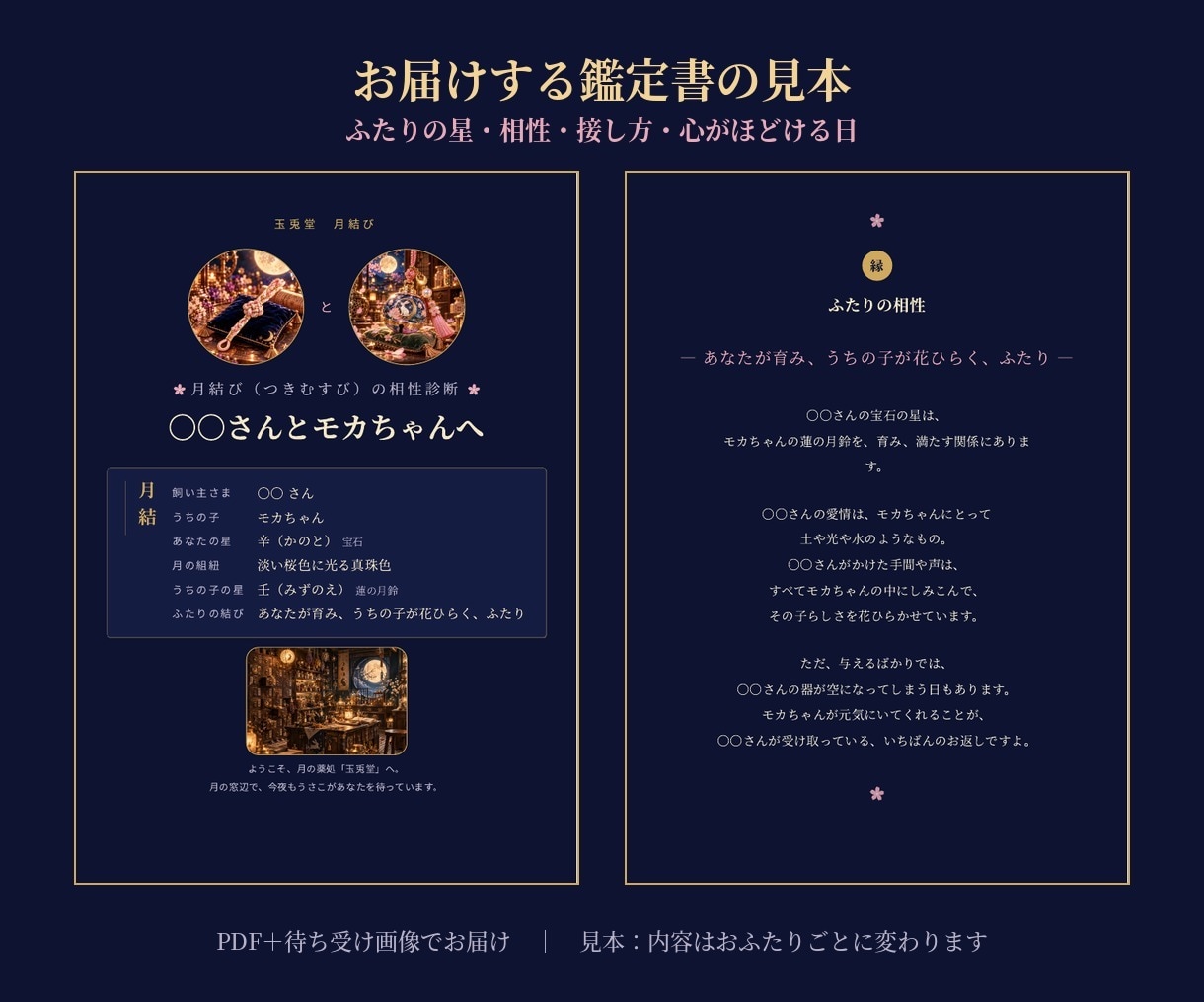言葉が話せたら…ペットとあなたを一緒に開運します 四柱推命&東洋占星術でふたりの相性や性格、喜ぶ接し方をお届け イメージ2