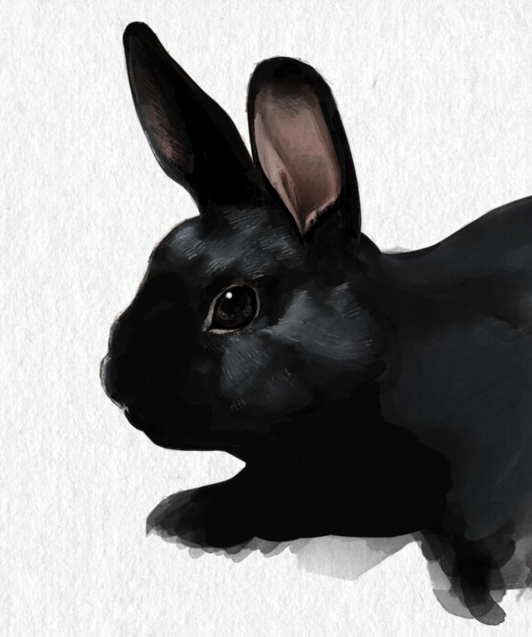 大切なペットの絵を水彩風に描きます 大切な家族のペットの写真をオシャレに水彩風に描きます イメージ6