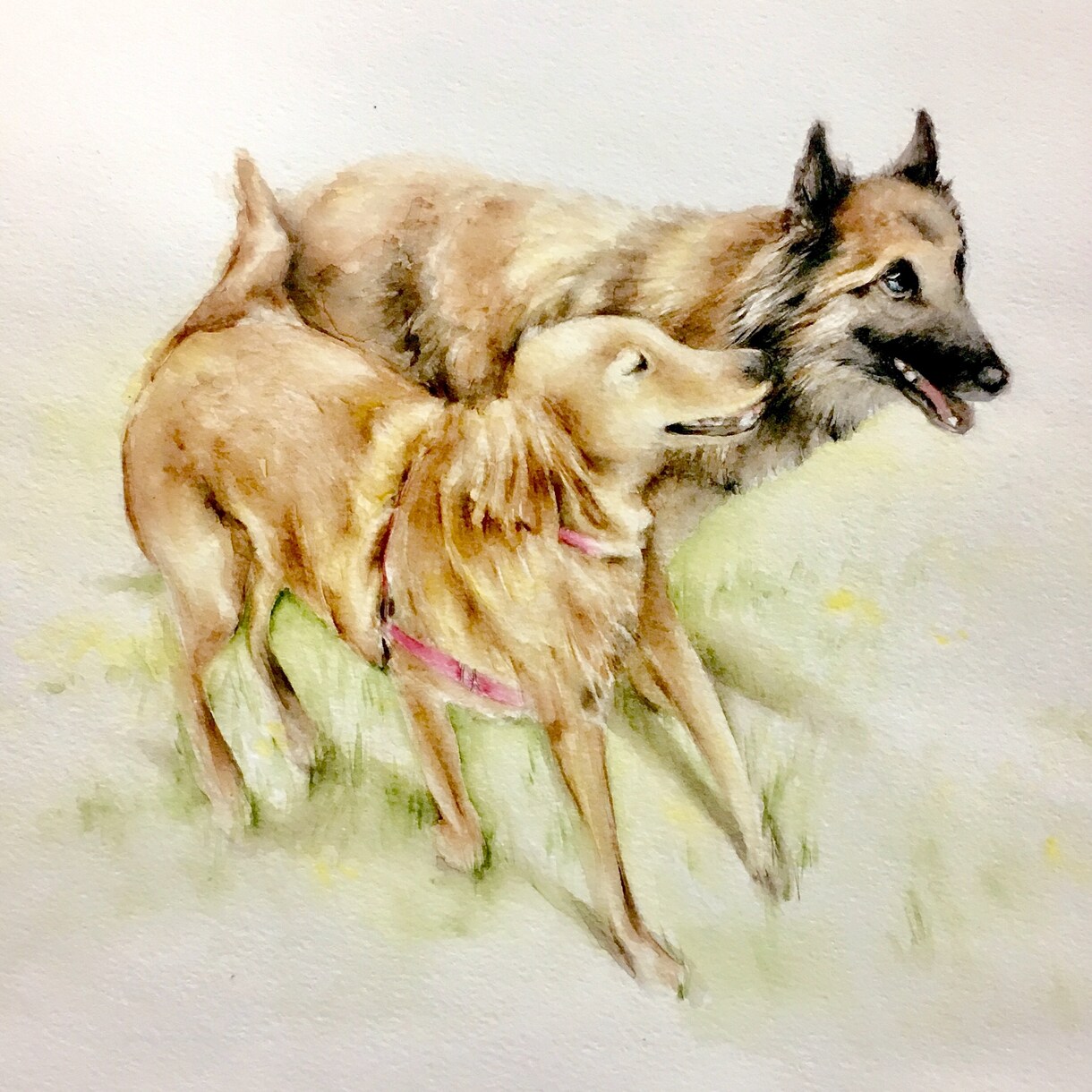 ペットやお好きな動物の似顔絵イラストを描きます プレゼントやペットとの思い出にいかがですか？ イメージ6