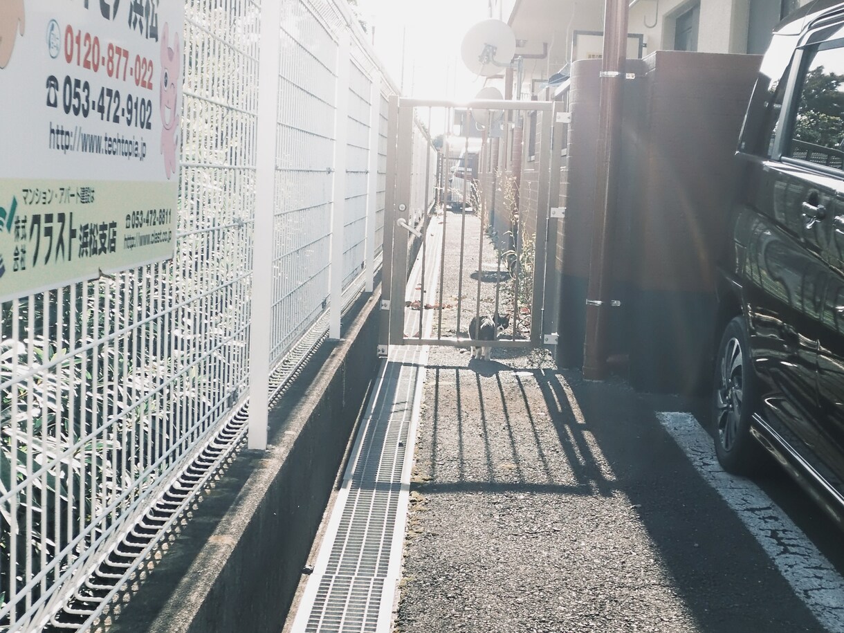 Lightroomでエモい写真編集できます SNSのアイコンや背景画、投稿画像にこだわりたい方は是非！ イメージ10