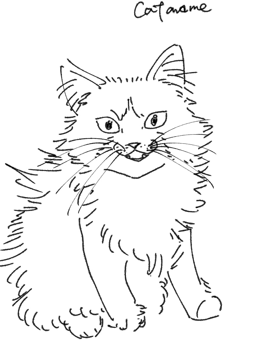 あなたの愛おしい愛猫をゆるく描きます ゆるくて愛しい猫イラストの作成 イメージ1