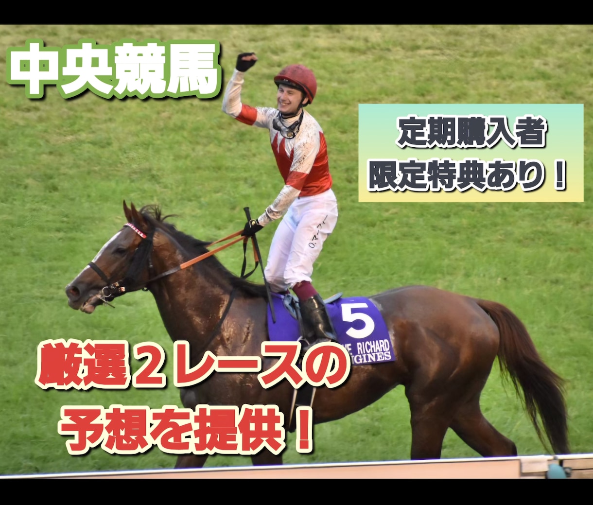 馬場傾向+展開重視の予想であなたを勝たせます SNS総フォロワー数3000人の予想家が競馬予想を提供！ イメージ1