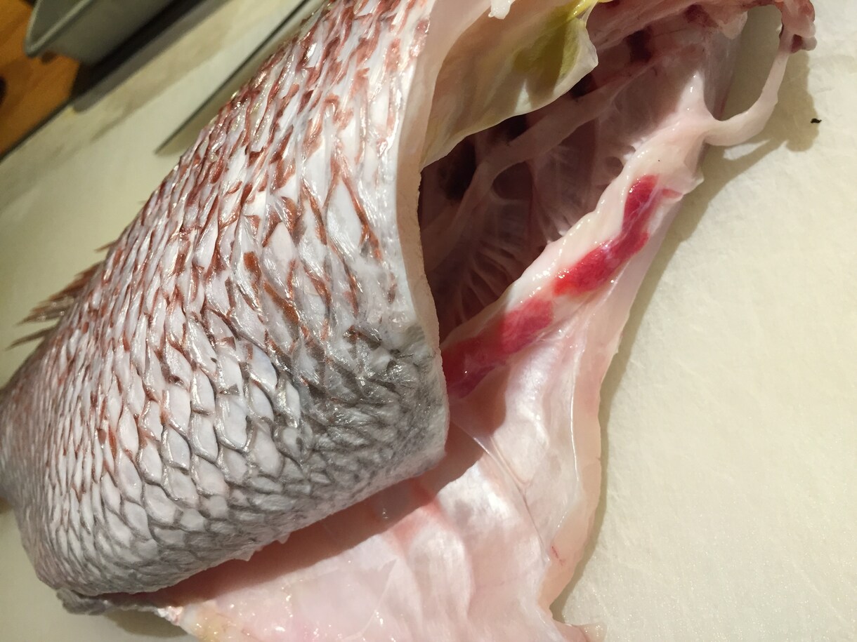 魚を捌きたい、そんな方に準備段階からご教授します 職場、家庭の両方で魚を扱ってる現役板前の僕がお答えします。 イメージ6