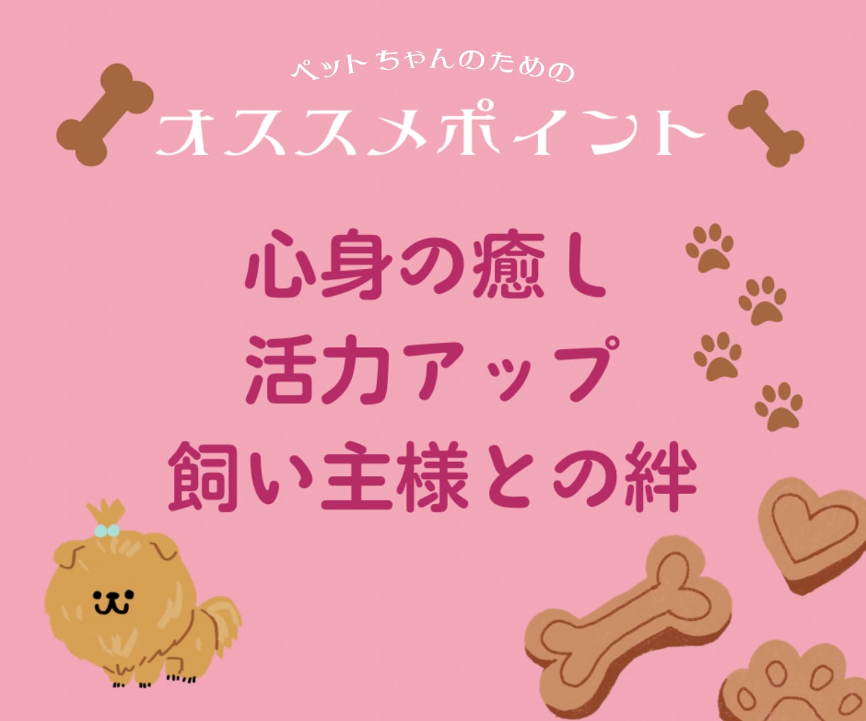 アニマルヒーリング✡️癒しの光届けます 愛するペットの気持ちに寄り添い読み解いていきます•ᴥ•♡ イメージ2