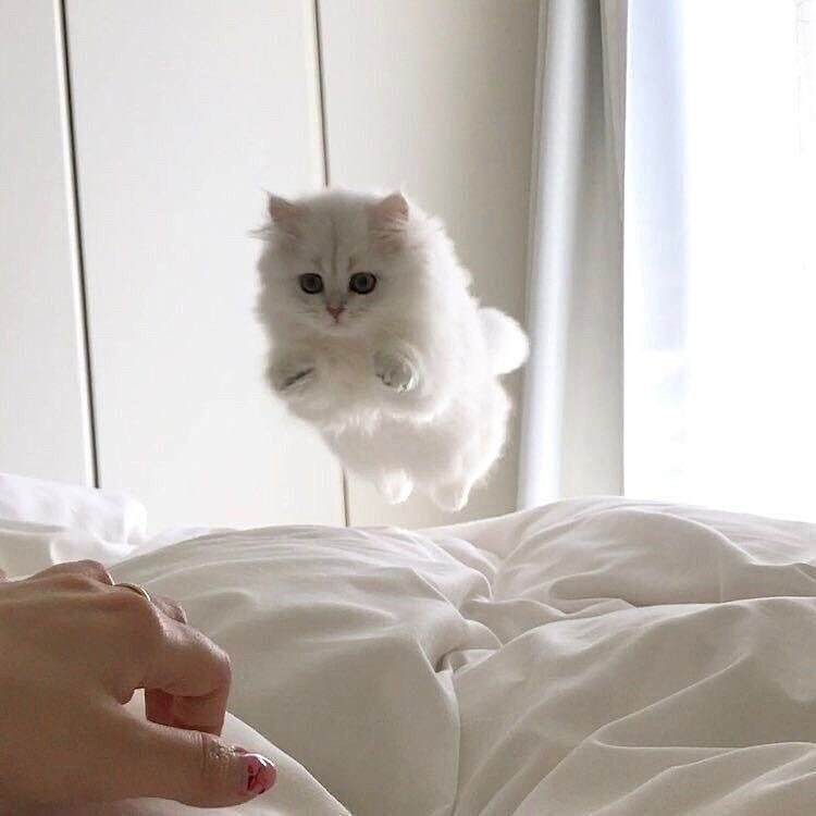 電話が苦手な方、チャットでお話聞きます どんな貴方も受け入れます♡今日あった出来事を聞かせてください イメージ9
