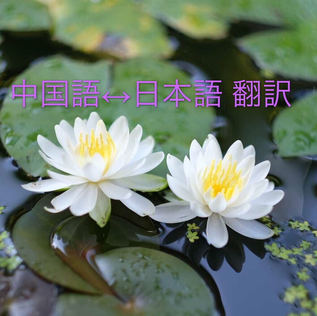 中国語  ↔︎ 日本語の翻訳&通訳します 中国語の翻訳困るあなたお手伝いいたします イメージ1