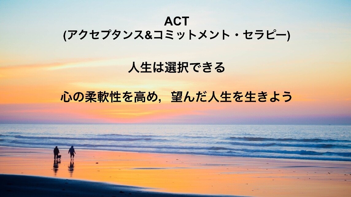 ACTカウンセリングで心の柔軟性を高めます 心の悩みに折り合いをつけ，前に進みたい方へ イメージ9