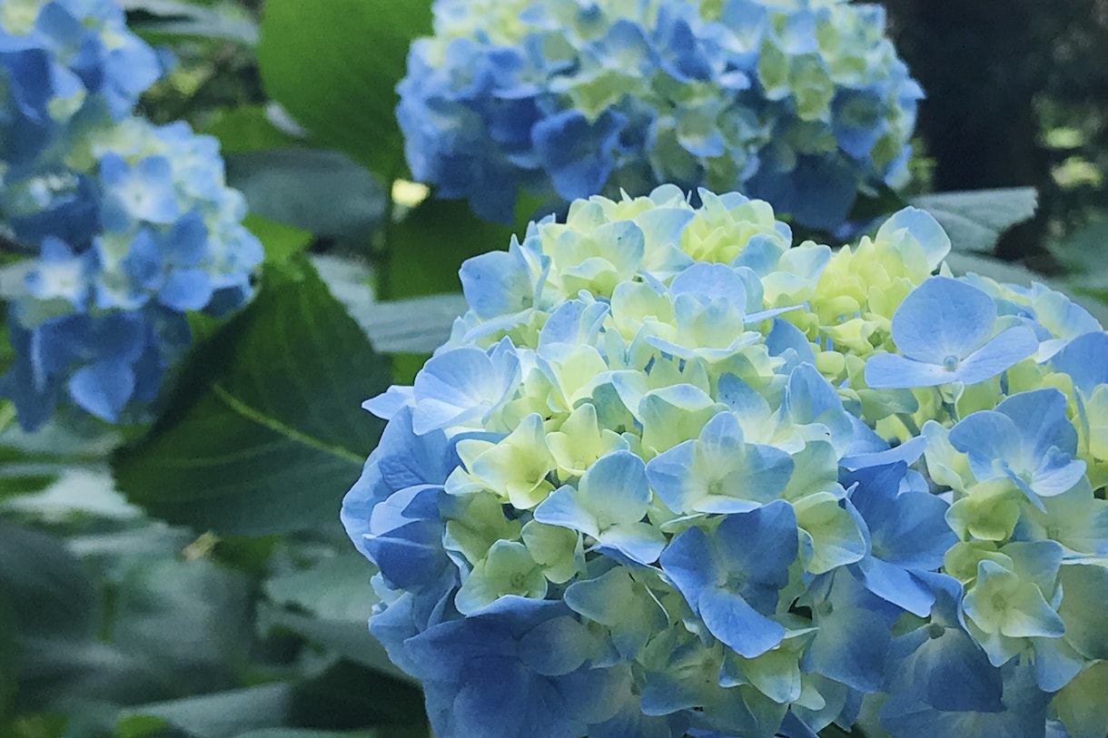 3日間、貴方の話し相手になります ☆ちょっと聞いてほしいな。と思ったらいつでも連絡して下さい☆ イメージ2