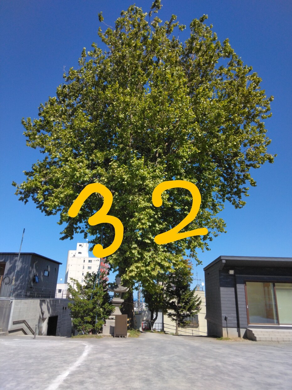 勘が強く勘を使ってお話をします 私の感じた事がいい気付きとなればいいと思います。 イメージ2