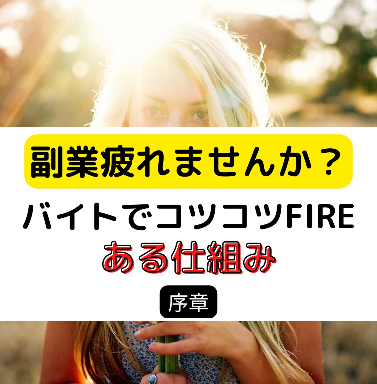 FX積立型の資金管理法教えます 裁量を減らす仕組み型運用の基礎設計 イメージ1
