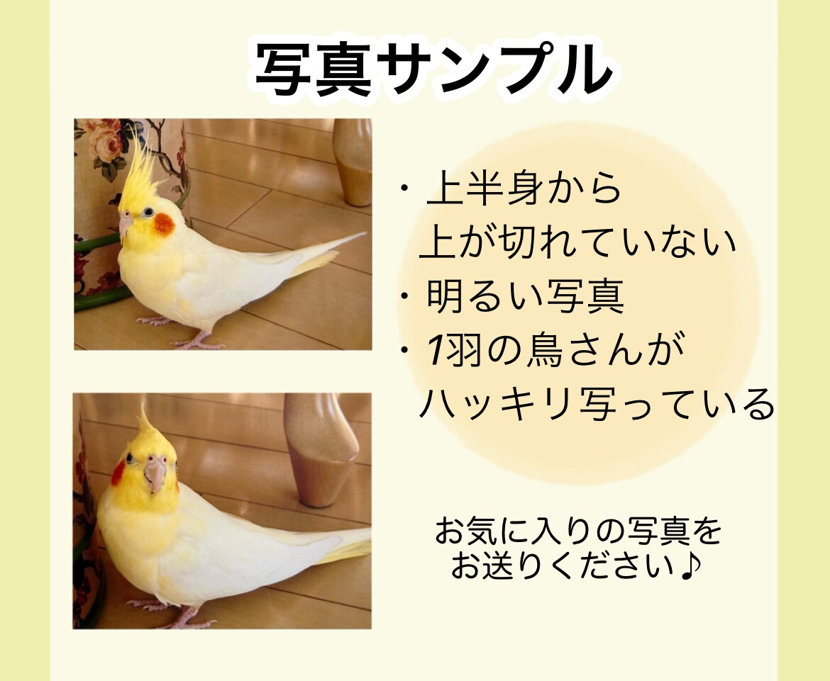 ペットのインコちゃんの似顔絵イラスト作成します ポスター風でリアル調なイラスト/どんな飼い鳥さんでもOK イメージ3