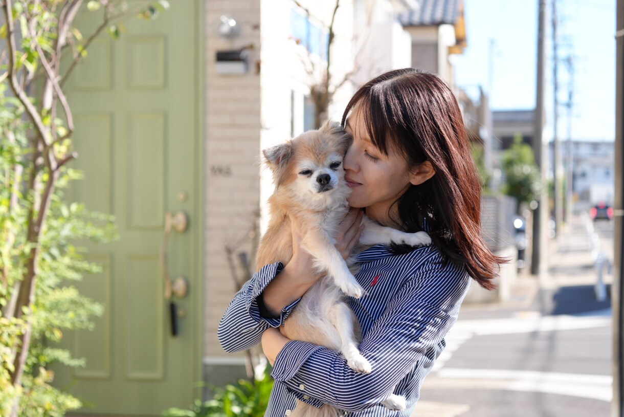 最高画質×女性同行。元チワワ飼い主が可愛く写します 女性同行可で安心。6100万画素の描写で一生モノの写真を。 イメージ3