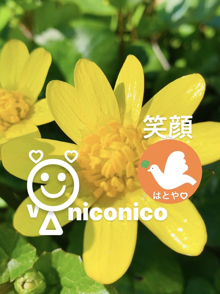 赤ちゃんや小さいお子さんを抱っこしながら話せます 赤ちゃんの寝てる間、お子さんが保育園に行ってる間に話しましょ イメージ7