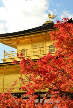 心の奥底を読み解く占い師、観月エノクと申します 心の奥底を映し出す、霊視とタロットの融合 イメージ8