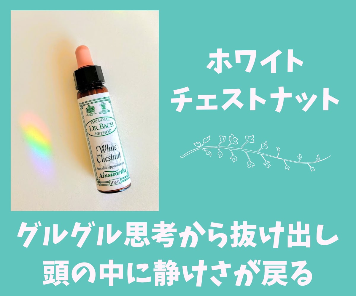 バッチフラワー✨プライベートレッスン✨教えます 自然からの贈り物✨植物の波動を使った心を癒し整える自然療法✨ イメージ10
