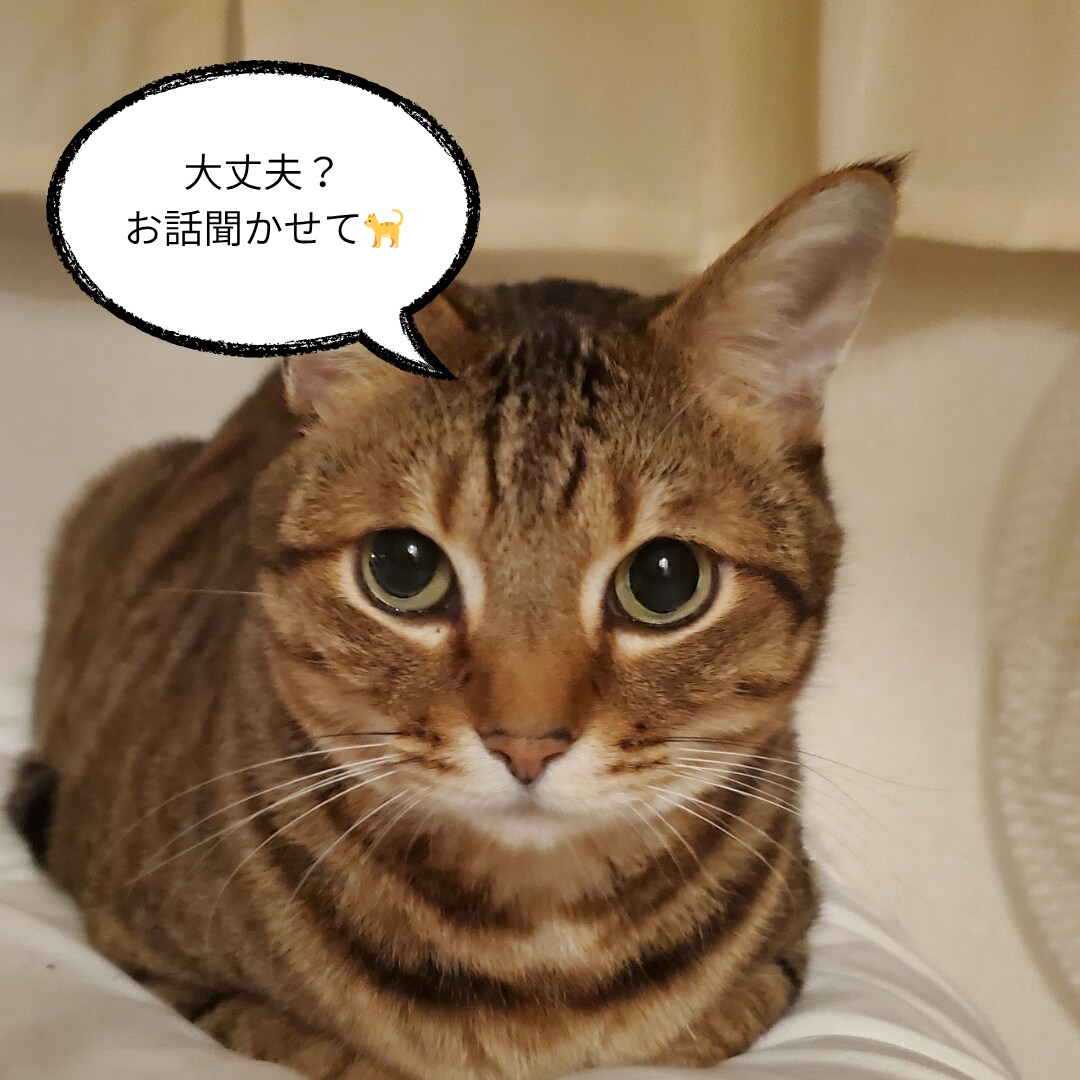 共感重視＊あなたに寄り添います 愚痴・涙・弱音ぜんぶOK。ここではあなたが主役。 イメージ3