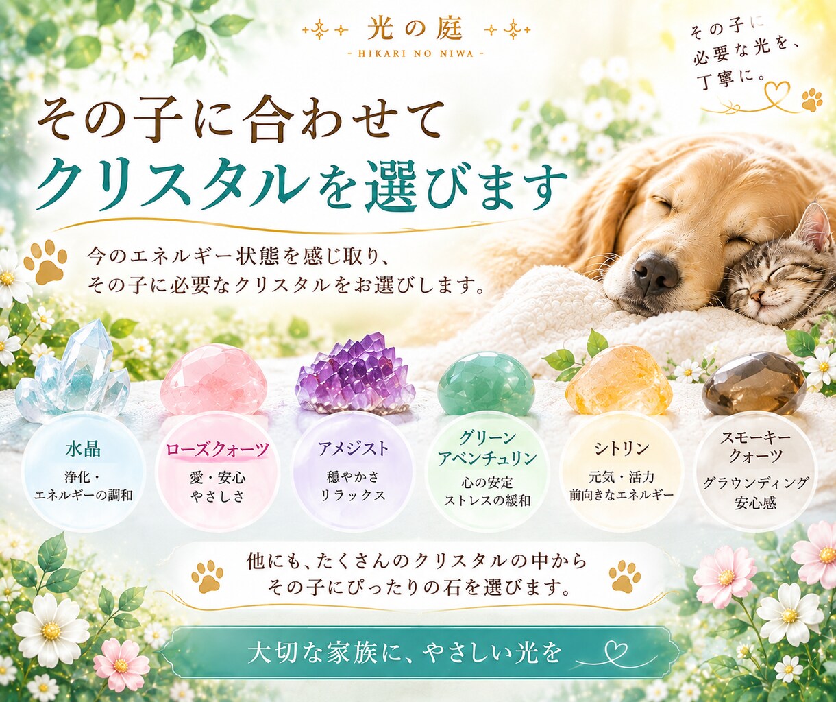 大切なペットを7日間クリスタルの光で癒します その子に合わせたクリスタルを選び、7日間やさしく寄り添います イメージ4