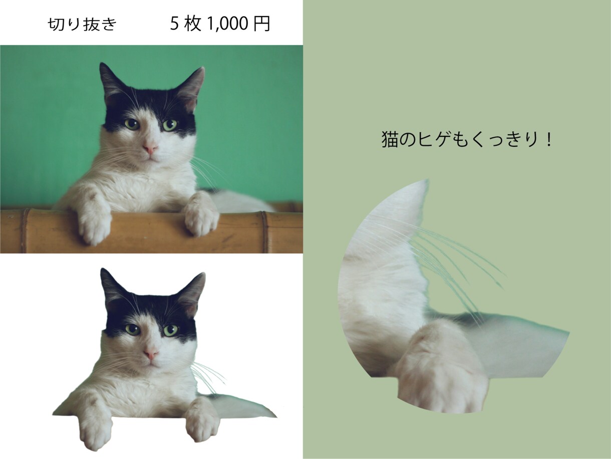 最短当日！画像の切り抜きを5枚1000円で承ります 丁寧に仕上げます。EC出品やSNS、名刺用にも！ イメージ3