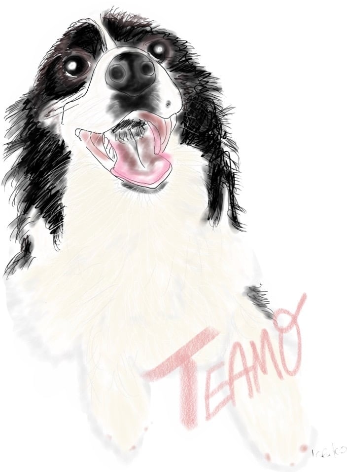 わんちゃんの似顔絵描きます 愛くるしいわんちゃんの笑顔を描かせていただきます。 イメージ2