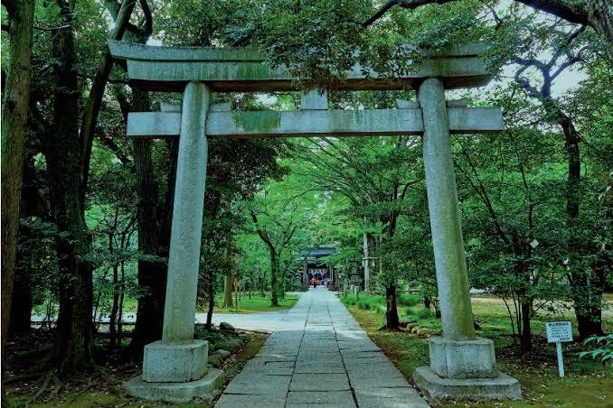 赤坂氷川神社代理参拝いたします 合格祈願、良縁祈願、本物の神通力で神様を動かします イメージ2