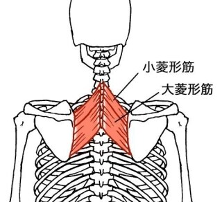体の不調や悩みの解決をサポートします あなたの体の悩み何でもご相談下さい！お力になります。 イメージ1