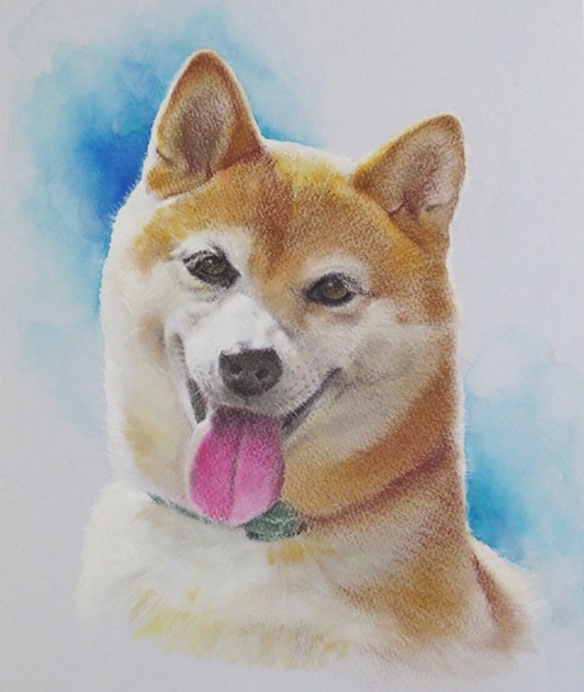 ワンちゃん、ネコちゃんの肖像画をお描きします 愛するワンちゃん、ネコちゃんの肖像画をプロがパステルで イメージ8