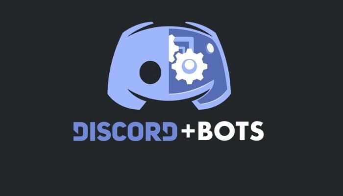 あなただけのDiscordのボットを作ります 3年以上開発を行ってきた開発者が直接開発をお手伝いします！ イメージ1