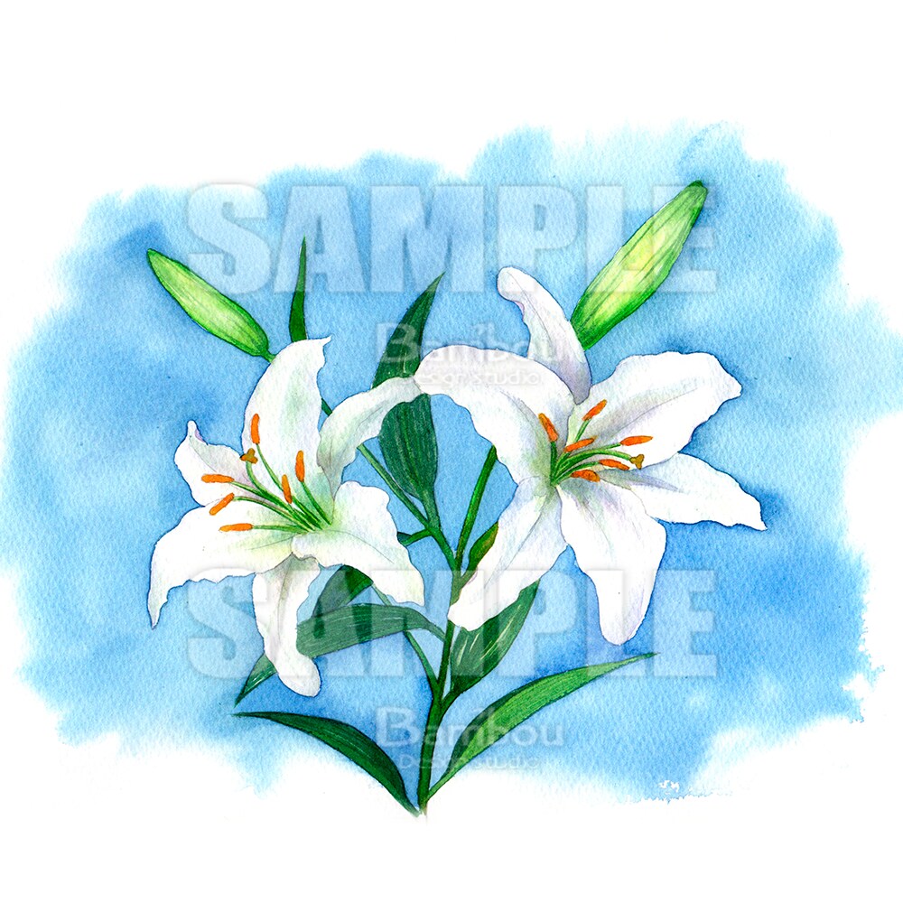 商用OK！プロが透明水彩で動物・植物を描きます 書籍・雑誌・カタログ・ウェブサイトなどにお使いいただけます イメージ8