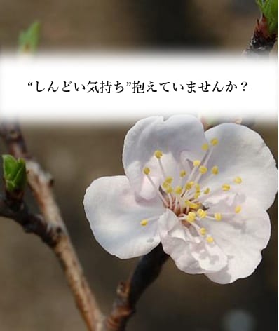あなたの心の”しんどい気持ち”をお聞きします ”気持ち”を誰かに話したいけど、誰にも話すことができない方へ イメージ1