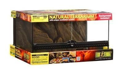 滝のあるアクアテラリウムをつくります イモリを飼育したい方や、苔に興味のある方へ イメージ1