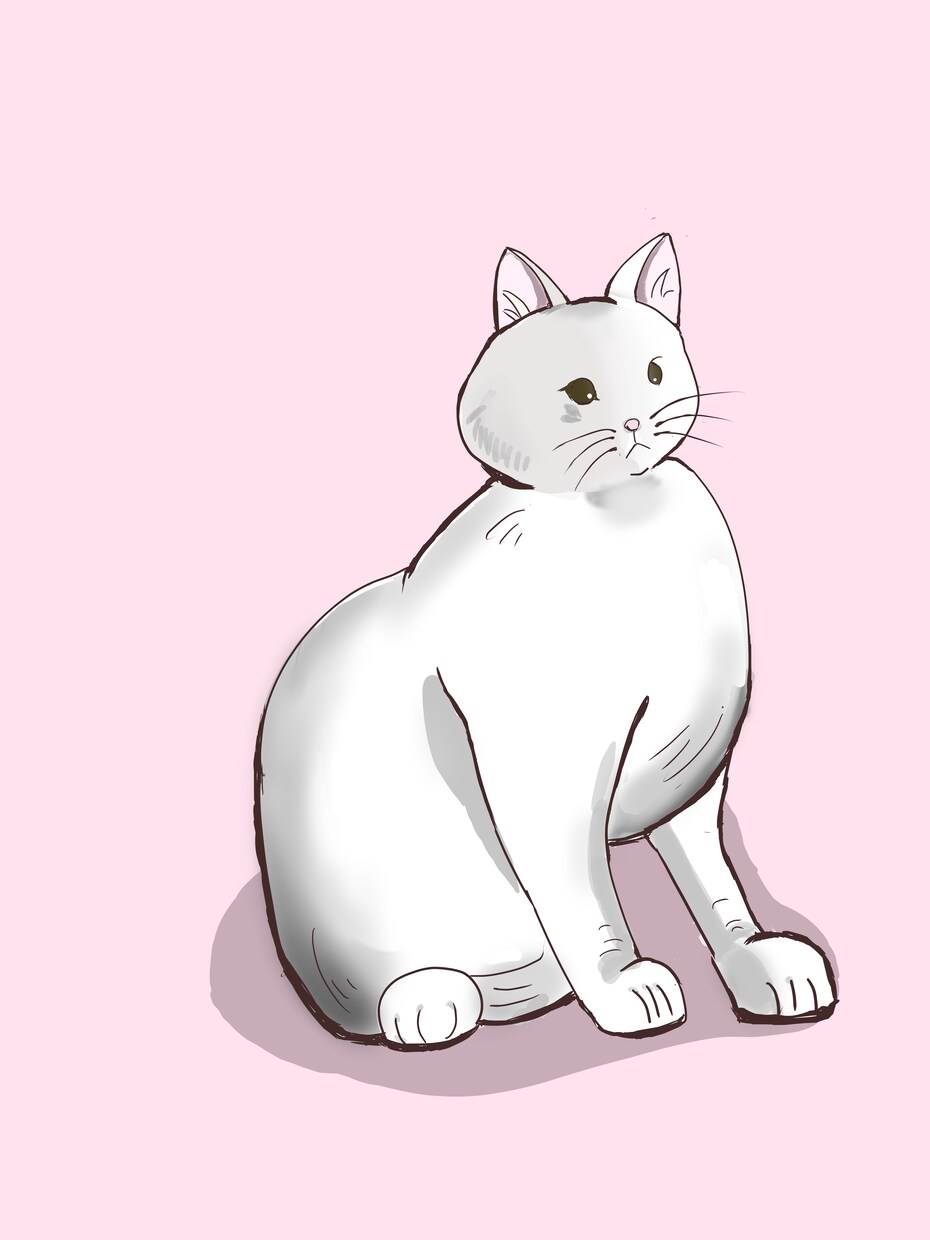 主にペットや相談可で他の動物も描きます ふわっとした可愛い動物絵を描きます。 イメージ3