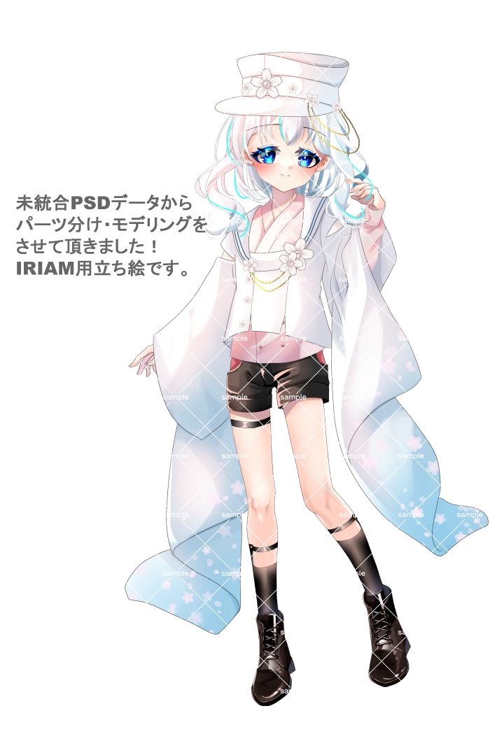 低予算でよく動くLive2Dモデリングを致します キャラクターに合った動くLive2Dモデリングを致します！ イメージ2