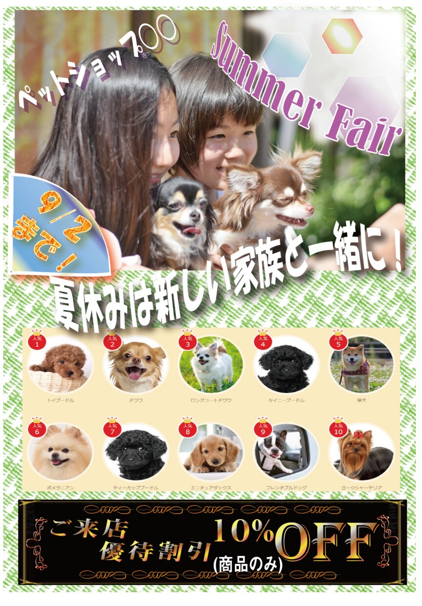 ちらし（店舗告知・商品紹介）作成いたします 魅了でキャッチ―な顧客誘引剤を！ イメージ6